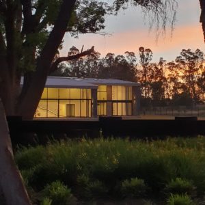 WhatsApp Image 2021-03-16 at 18.26.12 (3)